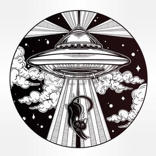 Mike Stolin Profile Image