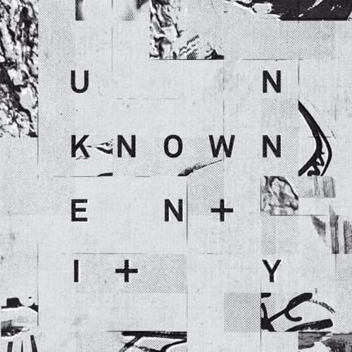 Unknown Entity portrait