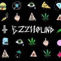 BZZHOUND