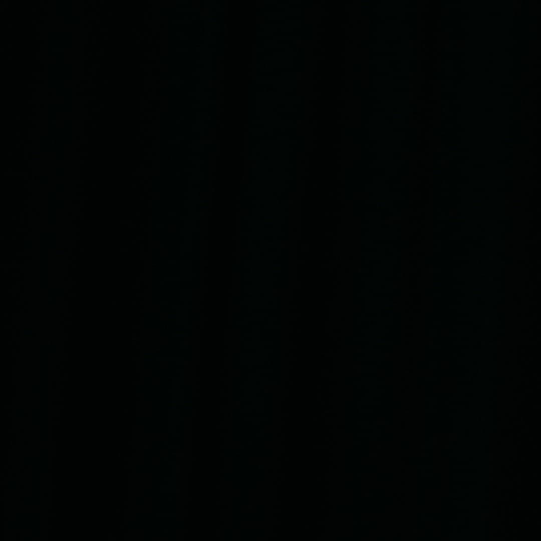 V musique Profile Image