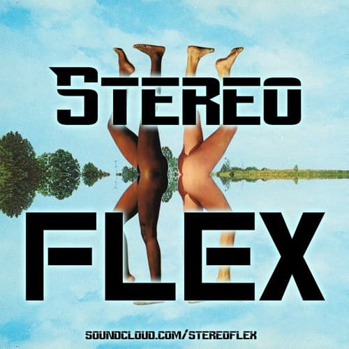Stereoflex Profile Image