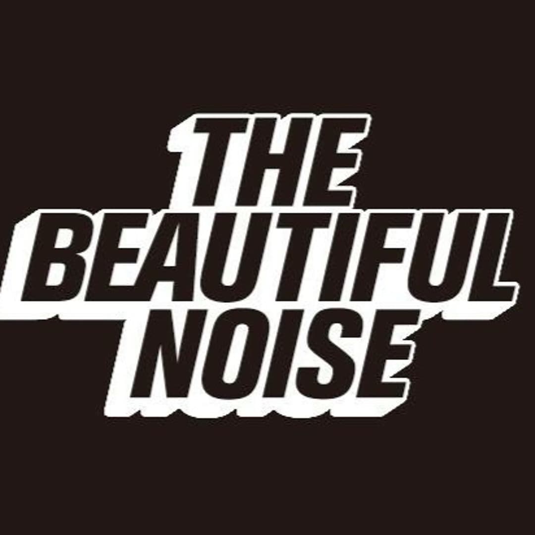 The Beautiful Noise