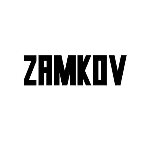Zamkov portrait