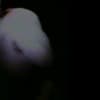 Witness Profile Image