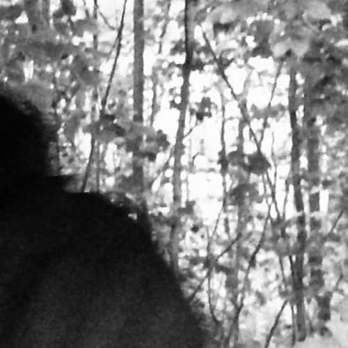 Solidstait portrait