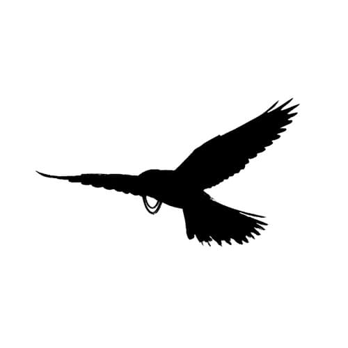 Lille Høg Profile Image