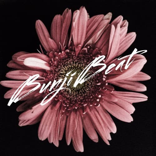 BunjiBeat Profile Image