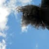 Wesley Groves Profile Image