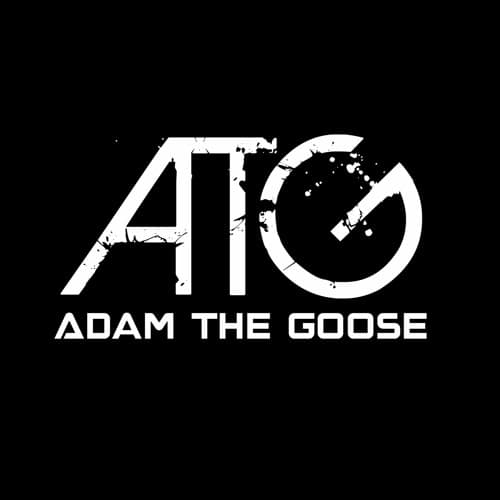 Adam the goose portrait