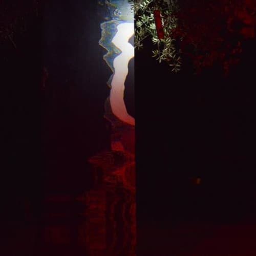 YORG Profile Image