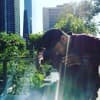 Jeff Moore Profile Image
