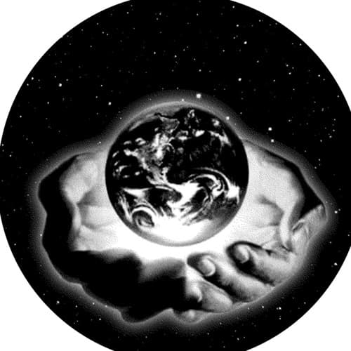 PALMA Profile Image