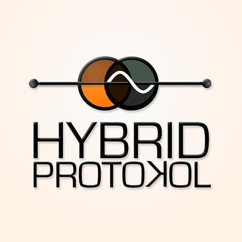 Hybrid Protokol Profile Image
