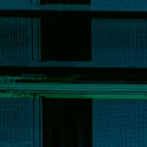 Brachland Profile Image