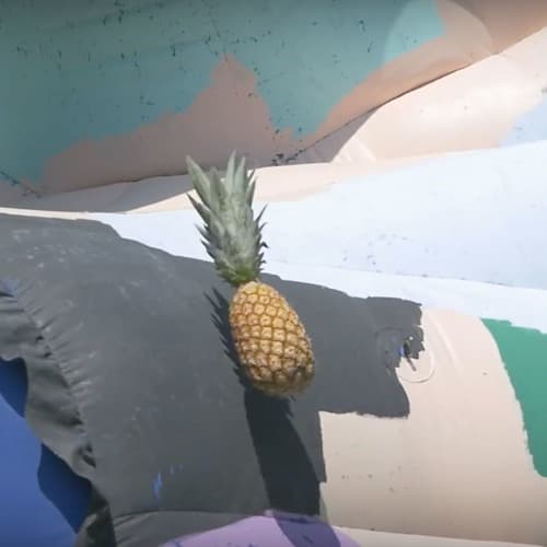 16 Pineapples portrait
