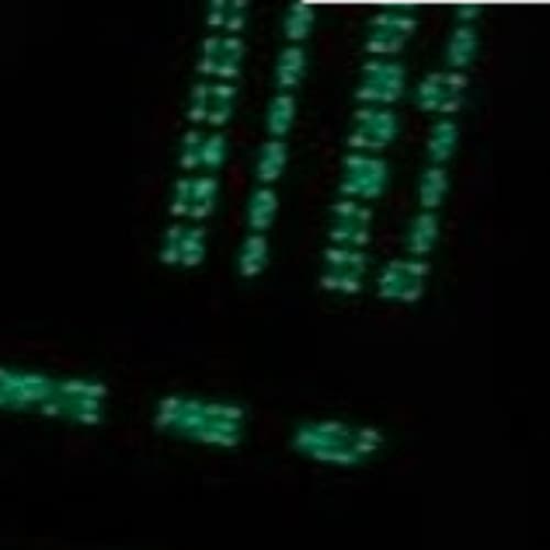ESB Profile Image