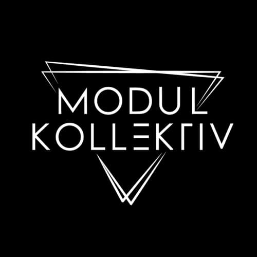 Modul Kollektiv Profile Image