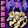 PRAED Profile Image