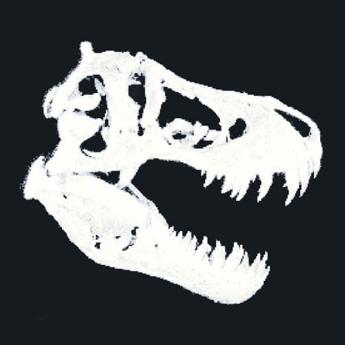 Asfalt portrait