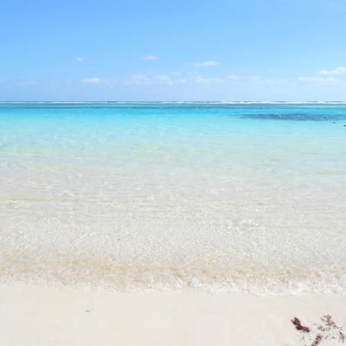 Caribe Profile Image