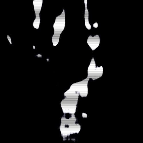 Transmit portrait