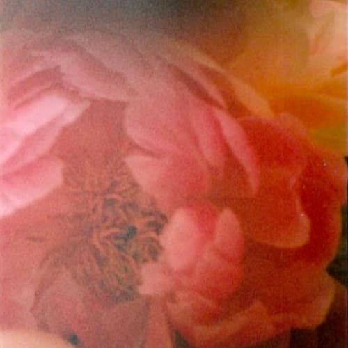 Royer