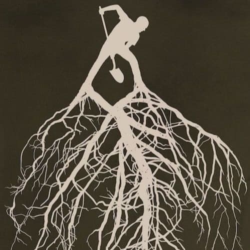 El Manglar Profile Image