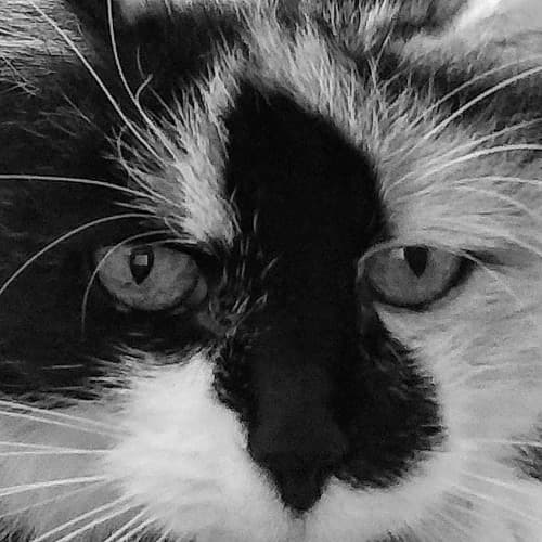 Jenny Om portrait