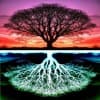 YGGDRASIL Profile Image