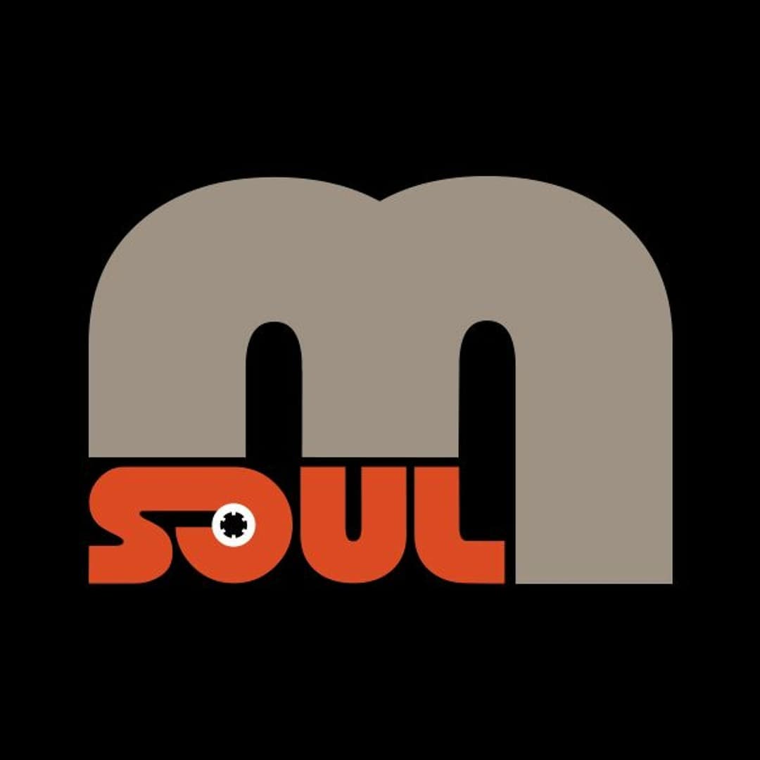 Magnetic Soul