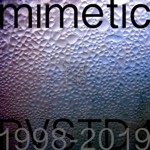 mimetic portrait