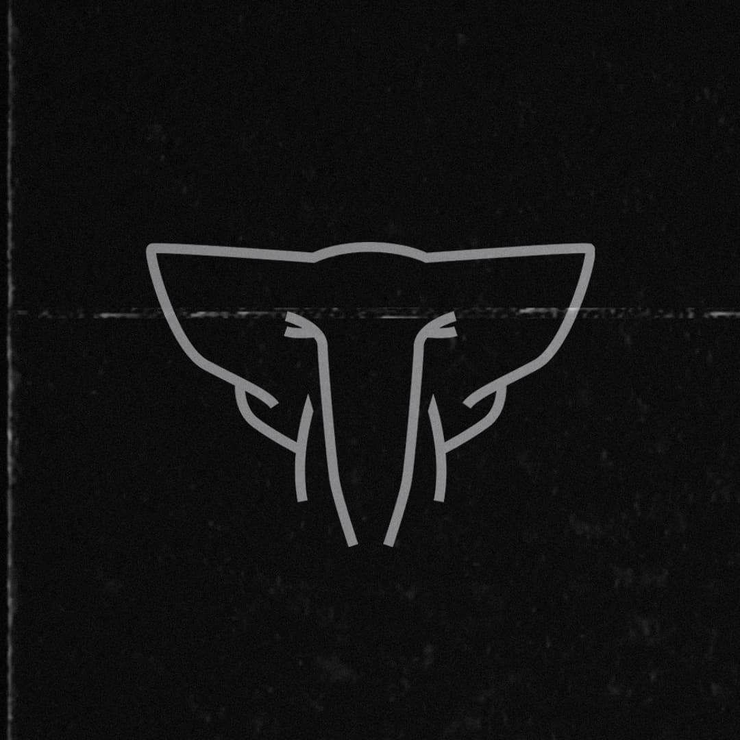 Elekfantz Profile Image