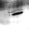 Javier Marimon Profile Image
