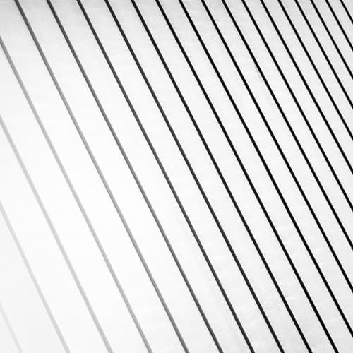 Future Of Matter portrait