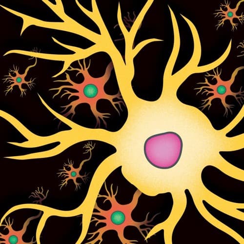 Ten Brains portrait