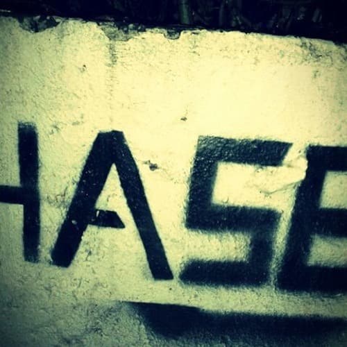 Falscher Hase portrait