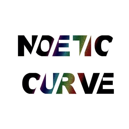 Noetic Curve portrait