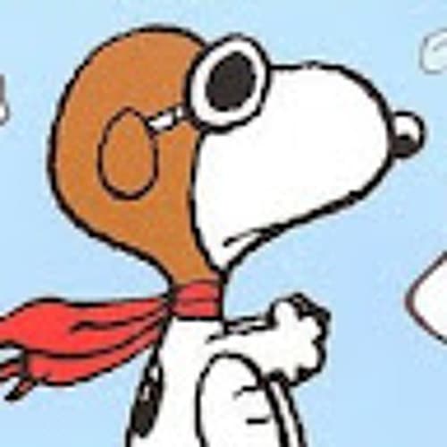 DJ SPITFIRE Profile Image