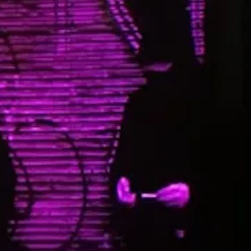 Dan Lodig Profile Image