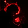 Rade Badjin Profile Image