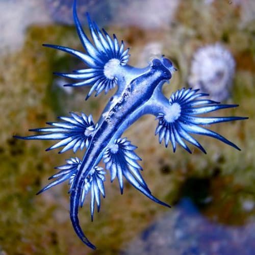 LEXCD Profile Image