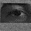 stunt Profile Image