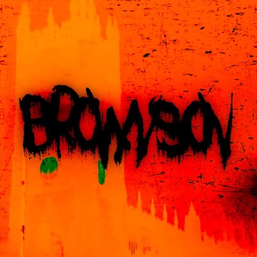 Brownson portrait