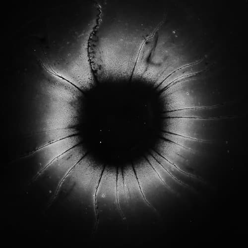 Dark Circles (NL) Profile Image