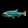 La Payara Profile Image