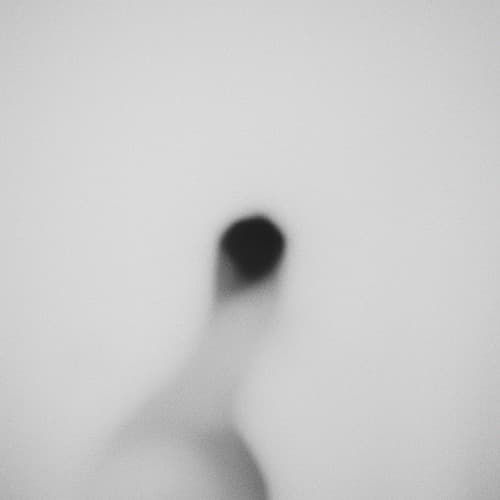 Per.la portrait