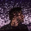 Kali Mist Profile Image