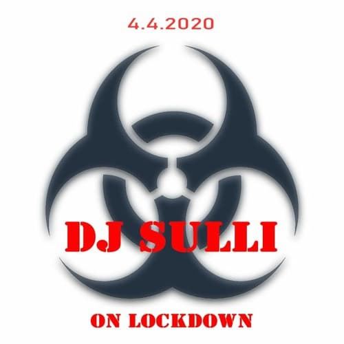 Portrait of DJ Sulli