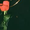 00970 Profile Image