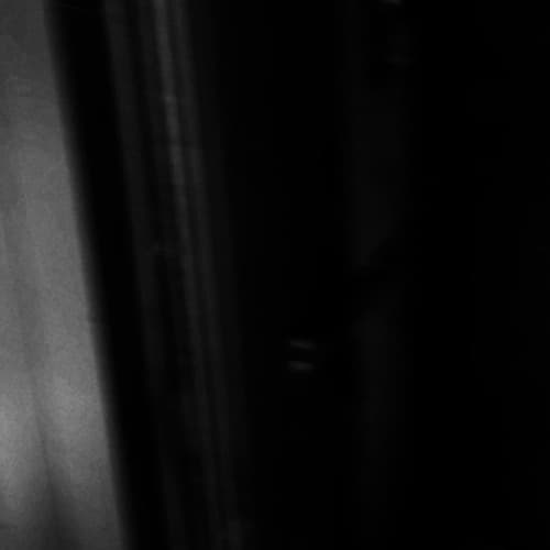 sense? portrait